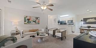 Hollis 7601 Gallery 35