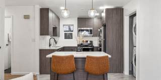 PRELEASE! Fully updated 2 Bed 1 Bath Near CU Gallery 12