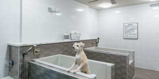 Cannery Park by Windsor Cannery Park by Windsor Gallery 40