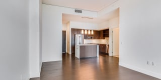Windsor Cirrus Gallery 23