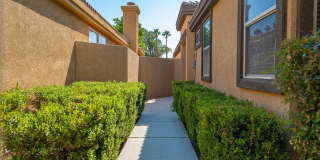 29869 W Laguna Drive Gallery 28
