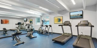 Liv on Steele Gallery 22