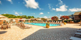 Holly Point Apartments Gallery 7
