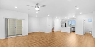The Selby Gallery 19