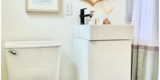 Santa Monica Palms Gallery 3