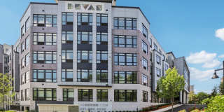 The Devan Gallery 20