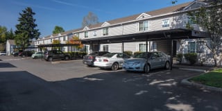 Avana Evergreen Gallery 25