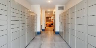 The Cameron Gallery 22