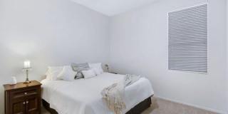 7314 E GALLEGO Lane Gallery 6