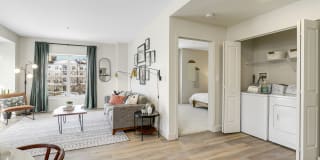 Sofi Danvers Gallery 5