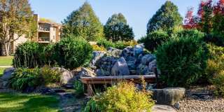 The Woods of Burnsville Gallery 47