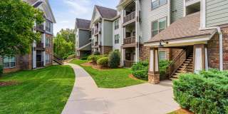 CityGreen at Northshore Gallery 20