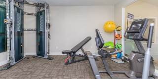 Rise Desert West Gallery 75