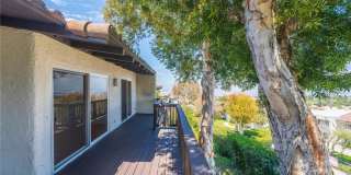 37 Cottonwood Gallery 14