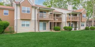 Sussex Downs Gallery 59