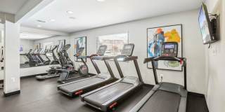 Tuscany Gardens Gallery 16