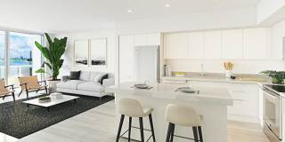 Flamingo Point Gallery 100