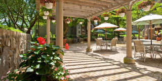 PeachTree of McLean Gallery 22