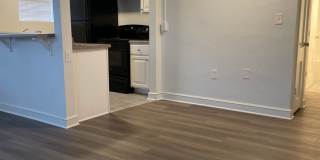 231 Chestnut St Gallery 1