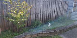 One level living in NorthWest Knoxville Gallery 16