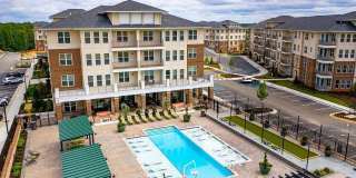 The Kingson Gallery 41