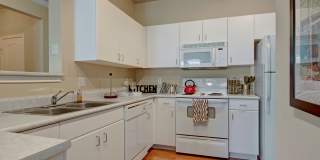 Stoneleigh at the Reserve Gallery 4