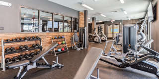 The Griff Gallery 30