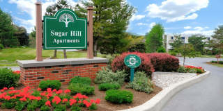 Sugar Hill Apartments Gallery 19