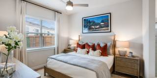 Yardly Elm Gallery 5