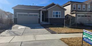 Brand New Aurora Highlands Ranch Gallery 1