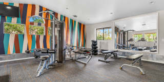 Fountain Palms Gallery 15