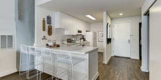 The Victor Gallery 23