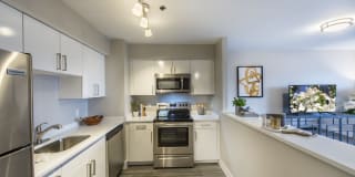 The 6Hundred Gallery 23