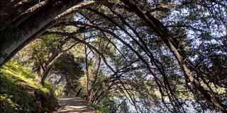 Furnished One Bedroom Cottage in Castro Valley Gallery 15