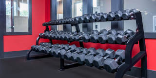 Foxridge Apartment Homes Gallery 43