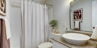 The Alista Apartments Gallery 12