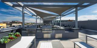 Linear Gallery 9
