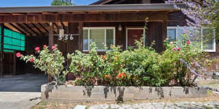 336 Triplett Drive Gallery 1