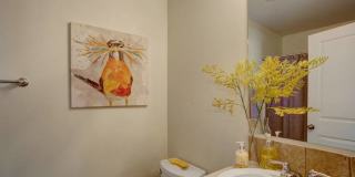 Navigator Villas Gallery 20