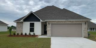 Immaculate Newer Construction Home for Rent! Gallery 1