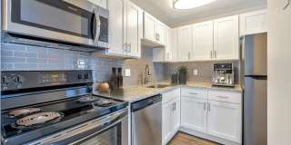 Webster Manor Gallery 1