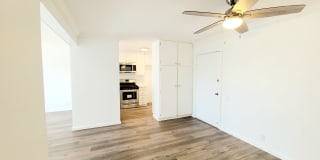 Annandale Terrace Gallery 7