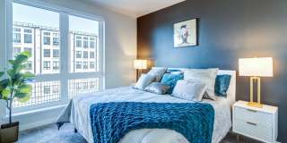 Axis Oakland Gallery 51