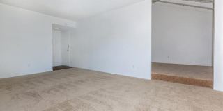 Cypress Pines Apartment Homes Gallery 18