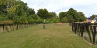 Ashton Heights Gallery 21