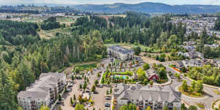 The Elwood at Taralon Gallery 29