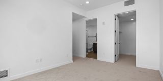 The Olive The Olive Gallery 34