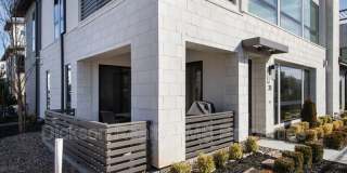 31 Campolina Street Gallery 42