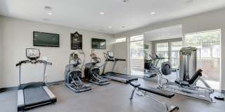 Hampton Manor Gallery 11