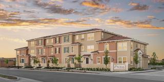 Vida at Mountain House Gallery 1